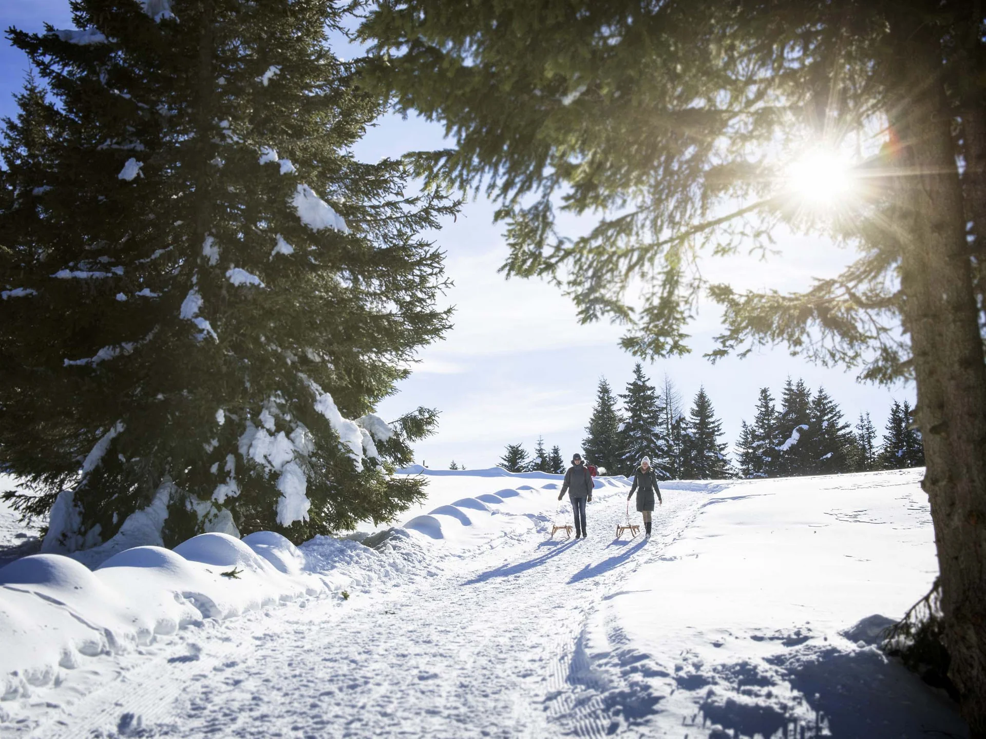 Der Lodenwirt in Vintl | Hotel, Residence & Restaurant Zwei Menschen gehen auf einem verschneiten Weg zwischen Tannen in der Wintersonne